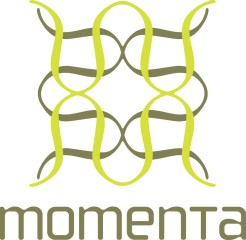 Momenta Workshops